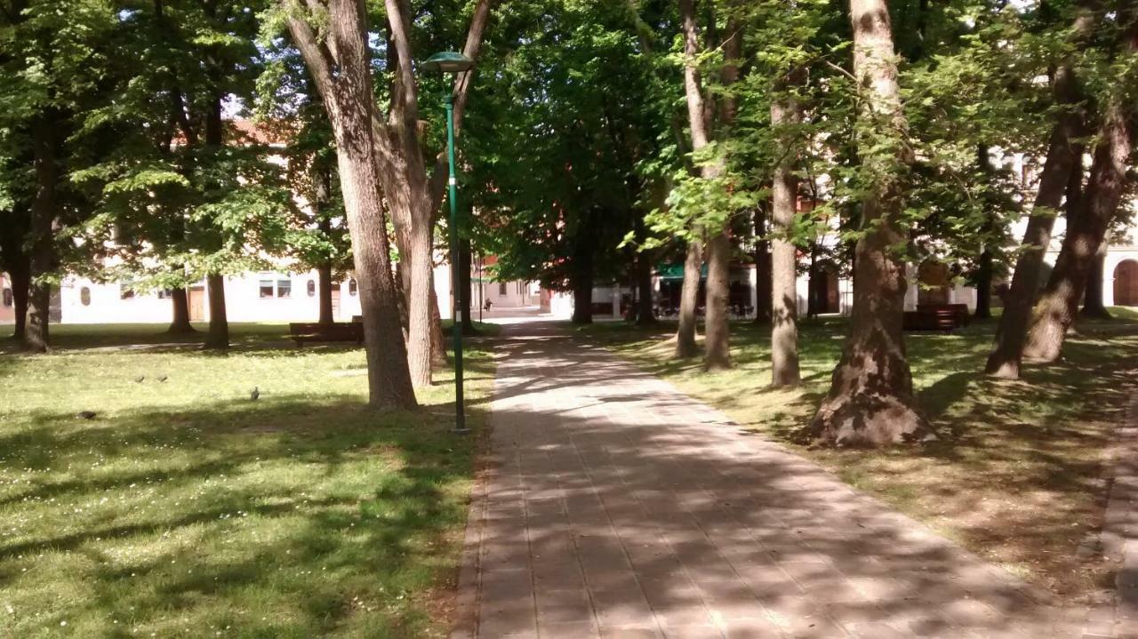 Ca' Giulia - Biennale - Free Wifi Fiber Daire Venedik Dış mekan fotoğraf